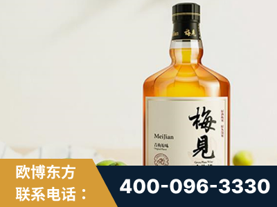 秦皇岛-梅见青梅酒